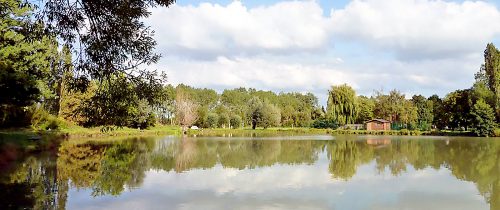 etang-aubers-camp-des-roses