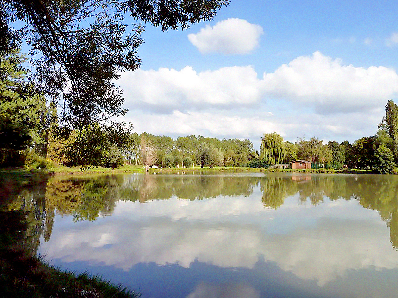 etang-aubers-camp-des-roses